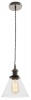 Bright Star Lighting Satin Chrome Pendant with Clear Glass Photo