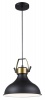 Bright Star Lighting Large Metal Pendant with Metal DÃ©cor Photo