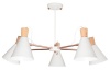 5 Light Red Copper and Wood Chandelier Photo