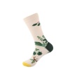 Men's Socks - Frog Photo