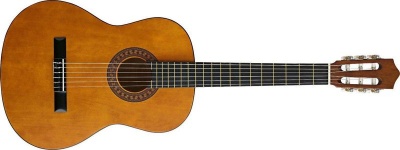 Photo of Caraya C950n Classical Nylon Guitar