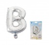 Balloons Foil Silver B Photo