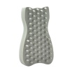 2" 1 Pet Hair Remover Brush Photo