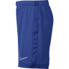 Nike Junior Big Dri-Fit Academy Soccer Shorts Photo