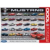 Ford Mustang Evolution Photo