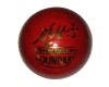 Pr Boundary Cricket Ball - 113g Photo