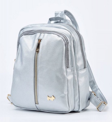 Photo of Brad Scott The Barca Backpack With Front Zip Detail - Silver