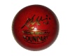 Pr Boundary Cricket Ball - 135g Photo