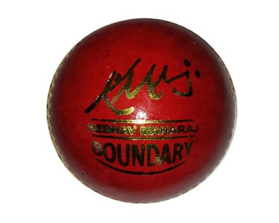 Photo of Pr Boundary Cricket Ball - 156g
