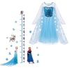 Frozen Princess Elsa Wall Sticker and Dress 3-4 yrs Photo