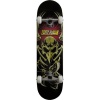 Tony Hawk 360 Series Vertebrate Photo
