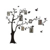 Wall Sticker Tree with Frames Photo