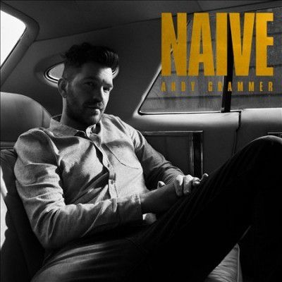 Photo of S Curve Records Andy Grammer - Naive