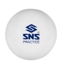 SNS Practice Smooth Hockey Balls - Box of 6 Photo