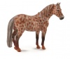 Collecta Horses-British Spotted Pony Mare Cstnut Leopard-Xl Photo
