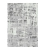 Prime Persian Zenith -Winter Abstract Gray Photo