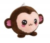 Tevo Zoonoo's Mika The Monkey Photo