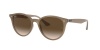 Ray-Ban RB4305 616613 53 Sunglasses Photo