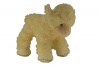 Douglas Caper Cream Lamb Photo