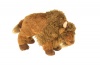Douglas Bill Buffalo Photo