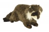 Douglas Bandit Racoon Photo