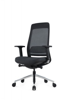 Photo of Ergonomicsdirect Ergo Exec Ergonomic chair without headrest