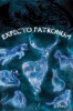 Harry Potter - Patronus Poster Photo