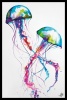 Marc Allante - Jellyfish Poster with Black Frame Photo