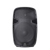 Design Acoustics Cabinet Speaker 12" 180W RMS Plastic Moulded Photo