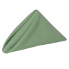 Set of 10 Polyester Napkins 50x50cm- Sage Photo