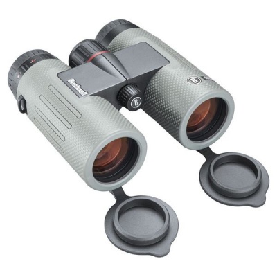 Photo of Bushnell 10x36 Nitro Roof Prism Binocular - Metal Grey