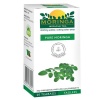 Moringa Tea Plain Green 20’s Photo