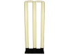 PR Premier Pr Indoor Cricket Spring back Stumps Photo