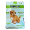 Nunbell Training Pads for Puppies and Dogs -Large Photo