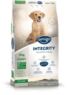 Photo of Amigo - Integrity - Puppy 4Kg