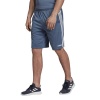 adidas Men's Design 2 Move Climacool 3-Stripes Shorts Photo