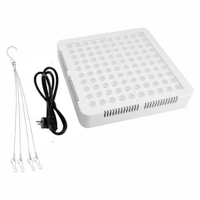 Photo of 300W Full Spectrum LED Grow Light for Indoor Plants and Flower