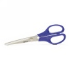 Household Scissors Photo