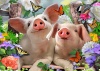 RGS Group Wilber & Wallace 500 Piece Jigsaw Puzzle Photo