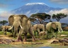 RGS Group Mount Kilimanjaro 1500 Piece Jigsaw Puzzle Photo