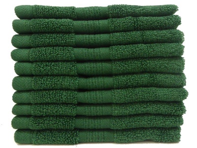 Photo of Towel-Bunty's Elegant 380GSM Face Cloth 10 Piece Pack - Bottle Green