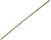 Fragram Broom Handle Photo