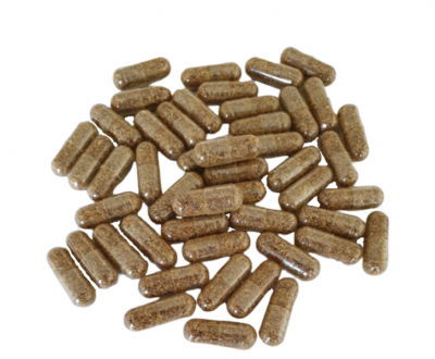 Photo of Mashangaan Penis Enlargement Pills
