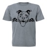 Pitbull - Peeking Dog - Kids T-Shirt - Grey Photo