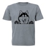 Husky Peeking - Adults - T-Shirt - Grey Photo