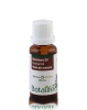 100% Pure Rosemary Essential Oil for Therapeutic Aromatherapy Photo