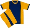 Everest Roma Junior Soccer Kit 14 Pack - Gold/Royal - 7-9 Years Photo