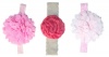Pink Headband Set Photo