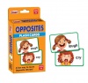 Creative's Opposites - Flash Cards Photo