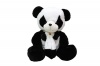 Gigantic 80cm Panda Photo